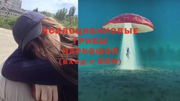 не бодяженный Дмитриев